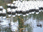 Yayoi Kusama 'Narcissus Garden' 