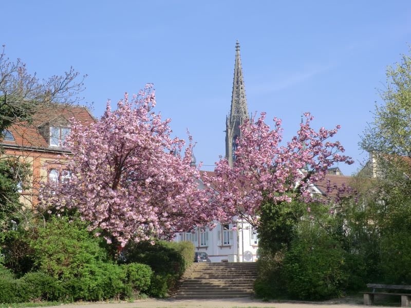 Feuerbachpark 