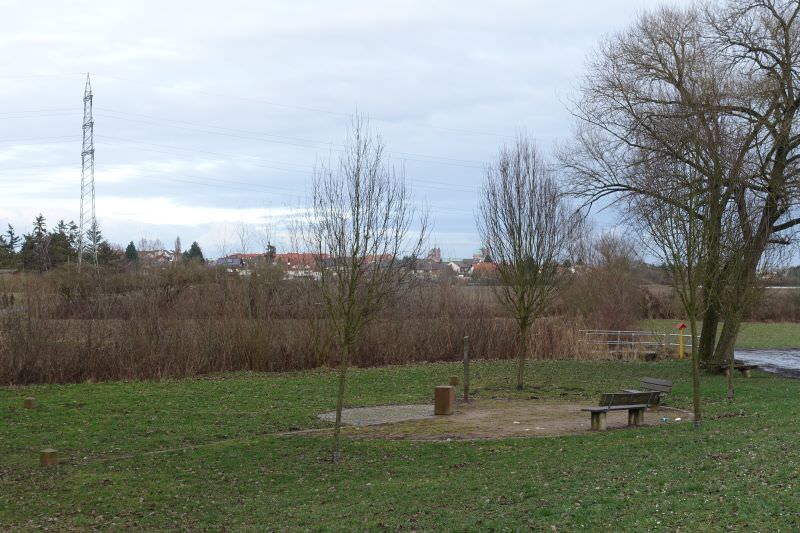Kleine Speyerer Basis 