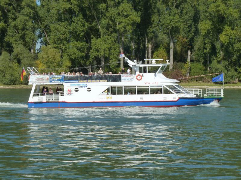 MS Sealife