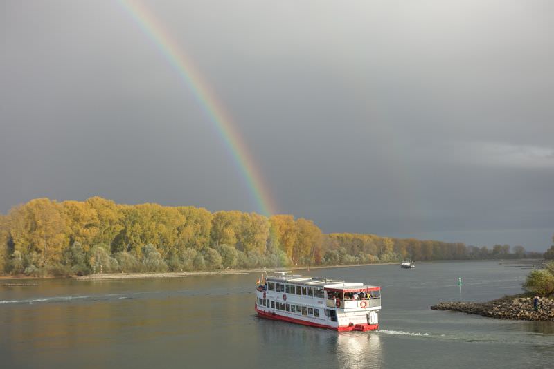 MS Pfaelzerland