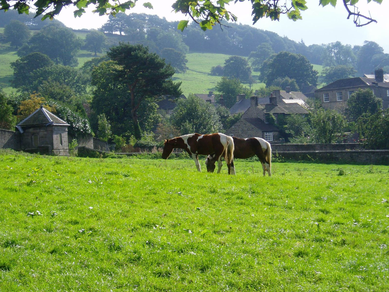 Peak District - Hathersage